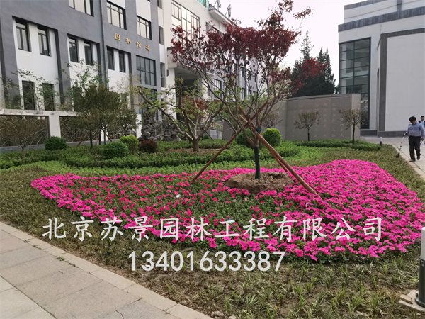 极悦娱乐 3caff