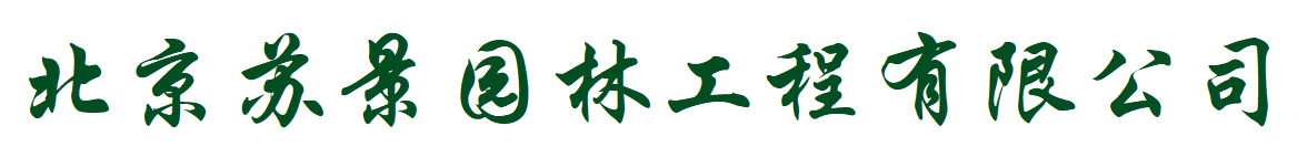 极悦娱乐