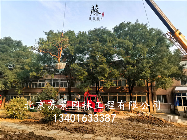 极悦娱乐 8