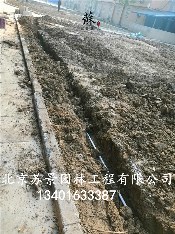 极悦娱乐 5