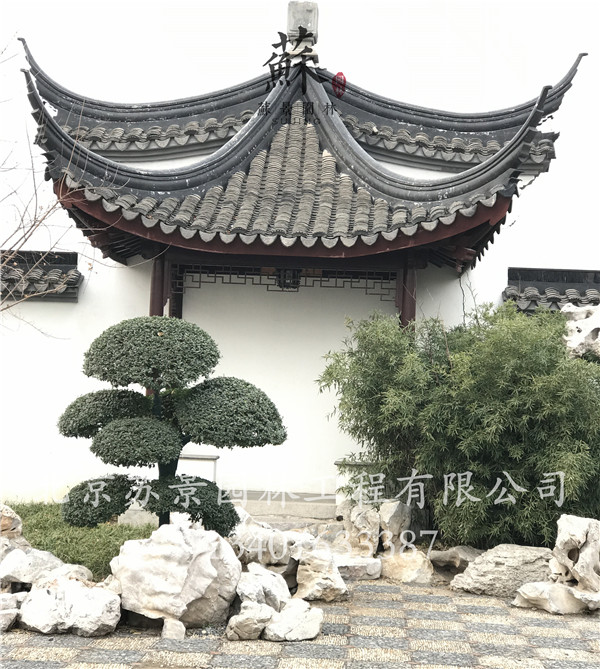 极悦娱乐 b9fa7