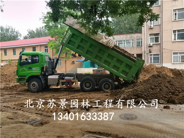 极悦娱乐 2