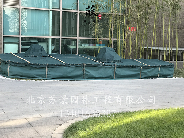 极悦娱乐 6