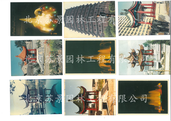 极悦娱乐 72301