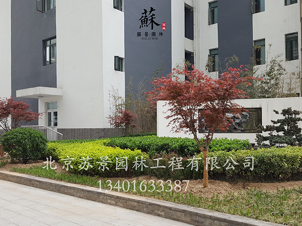 极悦娱乐 1851b